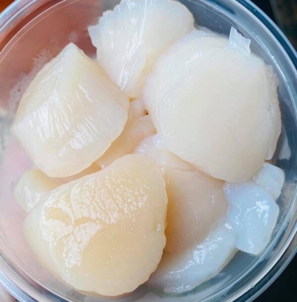 Sea Scallops in a plastic container.